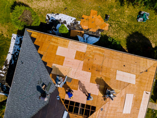 Best Roof Gutter Cleaning  in Ham Lake, MN