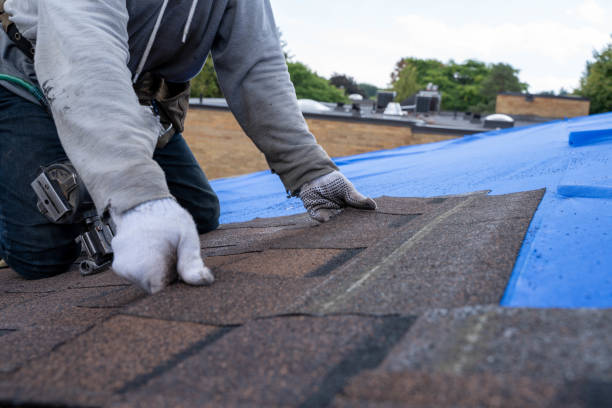 Best New Roof Installation  in Ham Lake, MN