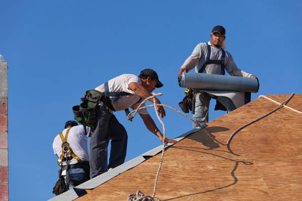 Best Emergency Roof Repair  in Ham Lake, MN