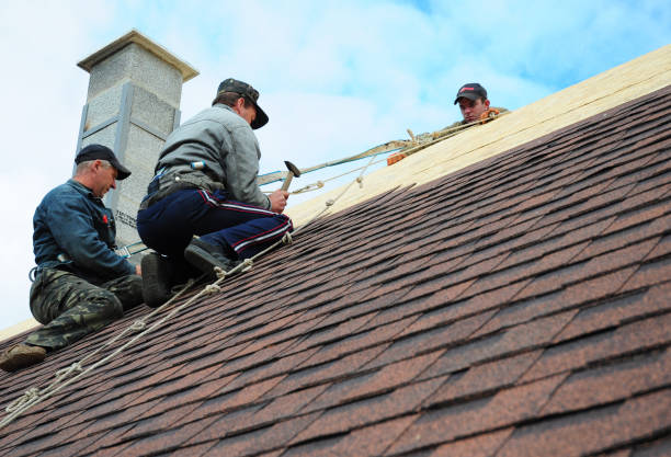 Best Storm Damage Roof Repair  in Ham Lake, MN