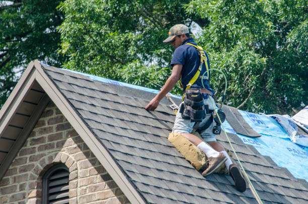 Best Storm Damage Roof Repair  in Ham Lake, MN